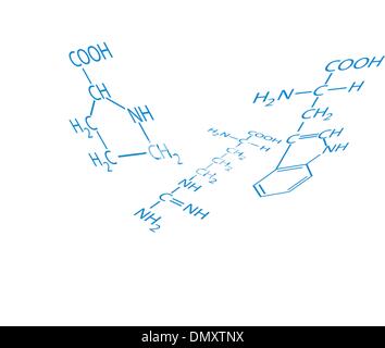 Aminosäuren Stock Vektor