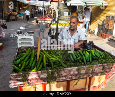 Marketeer verkauft Gurke am Obstmarkt von Rasht, Provinz Ost-Aserbaidschan, Iran Stockfoto