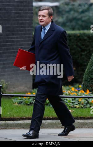 Welsh Secretary David Jones besucht der wöchentlichen Kabinettssitzung an Nummer 10 Downing Street 15. Januar 2013 in London Großbritannien. Stockfoto