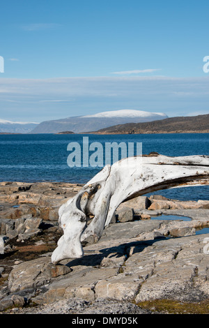 Kanada, Nunavut, Qikiqtaaluk Region, Cumberland Sound, Kekerten Insel. Stockfoto