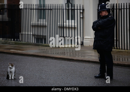 Britischer Polizist und Larry Downing Street Katze im No: 10 Downing Street in London, Großbritannien, am 26. Februar 2013. Stockfoto