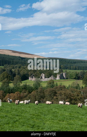 Ruinen von Kildrummy Castle in der Obhut von Historic Scotland royal deeside Stockfoto