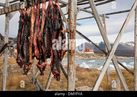 Grönland, Nuussuaq Halbinsel, Diskobucht, Qaasuitsup Gemeinde, Saqqaq (alias Sarqaq oder Solsiden). Stockfoto