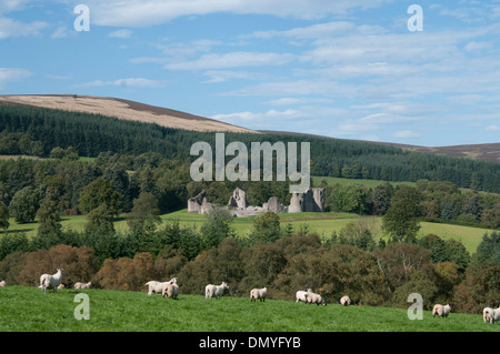 Ruinen von Kildrummy Castle in der Obhut von Historic Scotland royal deeside Stockfoto