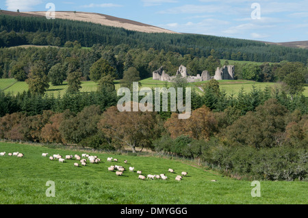 Ruinen von Kildrummy Castle in der Obhut von Historic Scotland royal deeside Stockfoto