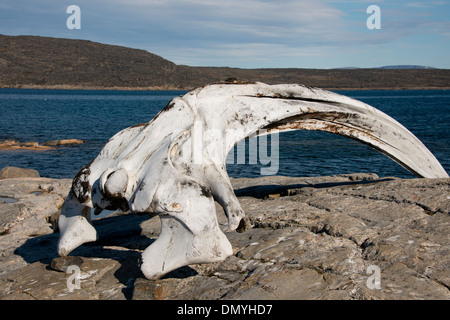 Kanada, Nunavut, Qikiqtaaluk Region, Cumberland Sound, Kekerten Insel. Stockfoto