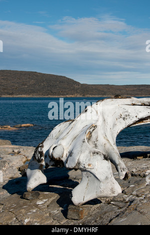 Kanada, Nunavut, Qikiqtaaluk Region, Cumberland Sound, Kekerten Insel. Stockfoto