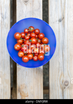 Frisch gepflückt Kirschtomaten in blau Schüssel auf hölzernen Gartentisch Stockfoto