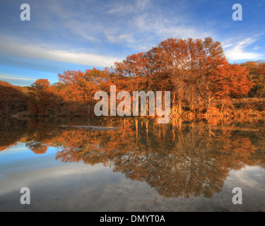 Ende November wiederum die Zypressen in Texas Hill Country eine lebendige Orange. Diese Szene stammt aus der Pedernales River. Stockfoto