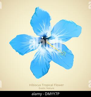 Hibiskus Blume Vektor-Illustration. Tropischen Hintergrund-design Stock Vektor