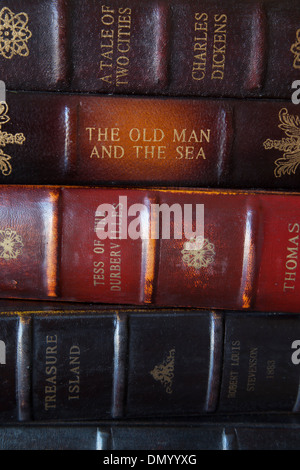 Sammlung von klassischen antiken Büchern aus historischen Autoren Stockfoto