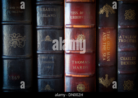 Sammlung von klassischen antiken Büchern aus historischen Autoren Stockfoto