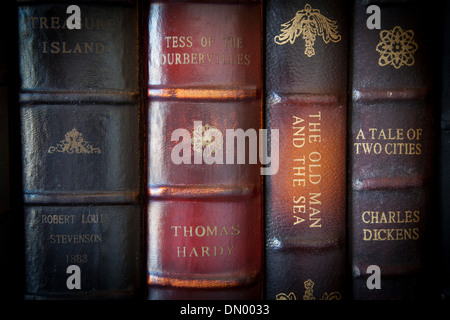 Sammlung von klassischen antiken Büchern aus historischen Autoren Stockfoto