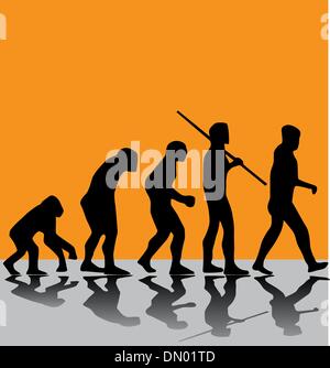 Evolution Stock Vektor