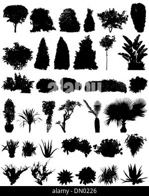 Pflanzen Silhouetten eingestellt Stock Vektor