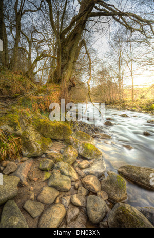 Der Fluss Allen in Allendale Northumberland England im Winter. Stockfoto