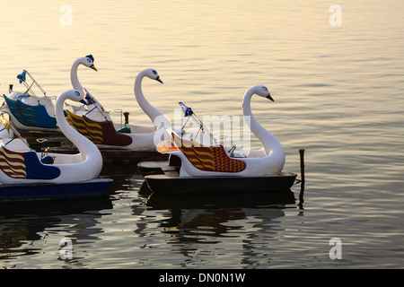 Boot am Teich in Vietnam Stockfoto