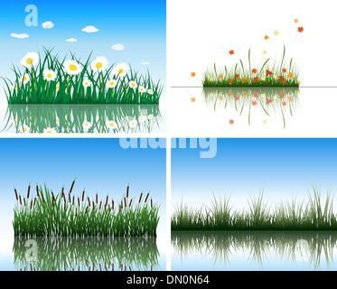 Wasser-Flora-set Stock Vektor