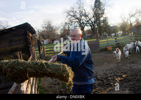 27. Januar 2010 - Redding, Kalifornien, USA - Robert Leighton, Besitzer Leightons Salmon Creek Farm, füttert seine Ziegen Mittwoch in seinem Haus in Palo Cedro. Leighton ist Bestandteil der Country Farm Trail Association, eine Gruppe von landwirtschaftlichen Wasserverbraucher in Bella Vista Water District. Die Außerbetriebnahme einer Karte, wo Leute hingehen, um frische Lebensmittel zu bekommen. "Ich konnte nicht ohne sie '' Sai Stockfoto