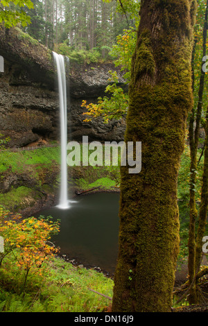 Süden fällt, Silver Falls State Park, Oregon Stockfoto