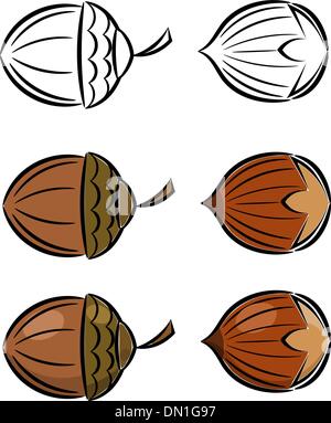 Cartoon-Satz von Vektor-Bilder von Haselnuss und Eichel. EPS10 Stock Vektor