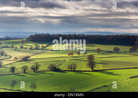 Am Nachmittag leichte über Herefordshire Landschaft vom Marcle Grat in der Nähe von viel Marcle und Woolhope, England, UK Stockfoto