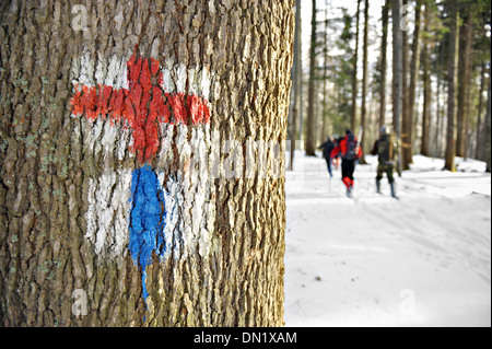 Touristische Routen Markierungen mit Rotkreuz- und blauen Streifen auf einem Baum Stockfoto