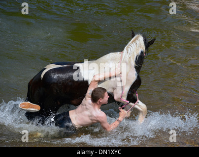 Zigeunerjunge Reisenden mit Pferd im Fluss Eden. Appleby Pferdemesse, Appleby in Westmorland, Cumbria, England, Vereinigtes Königreich. Stockfoto