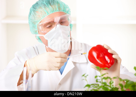 Forscher halten ein GVO-Gemüse Stockfoto