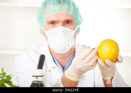 Forscher halten ein GVO-Gemüse im Labor Stockfoto