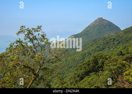 Blick vom Gipfel, Hong Kong Stockfoto