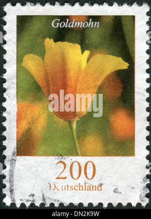 Deutschland - CIRCA 2006: Briefmarke gedruckt durch Deutschland, zeigt Blume Eschscholzia Californica, circa 2006 Stockfoto