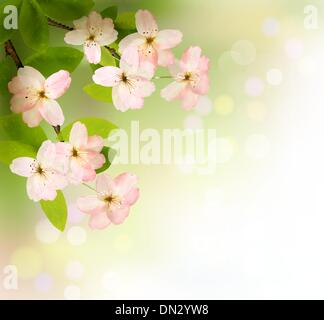 Hintergrund der Frühling mit blühenden Baum-Brunch mit Frühlingsblume Stock Vektor