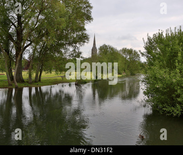 GV der Kathedrale von Salisbury, Wiltshire. 29. Mai 2013 Stockfoto