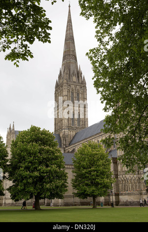 GV der Kathedrale von Salisbury, Wiltshire. 29. Mai 2013 Stockfoto