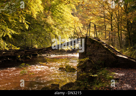 Eine Fußgängerbrücke über den Fluß Allen in Northumberland Stockfoto