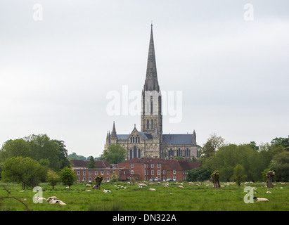 GV der Kathedrale von Salisbury, Wiltshire. 29. Mai 2013 Stockfoto