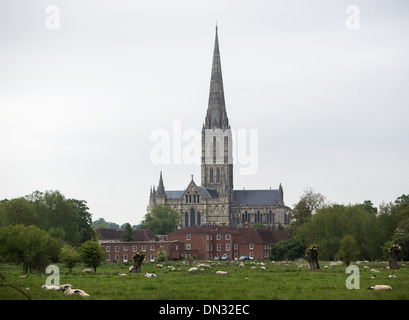 GV der Kathedrale von Salisbury, Wiltshire. 29. Mai 2013 Stockfoto