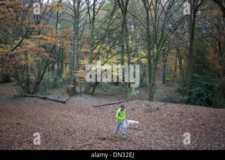 Dogwalker auf Sandy Heath, uralte Wälder und Teil von Hampstead Heath (lokal bekannt als "die Heide") ist eine große, alte Park in London. UK Stockfoto