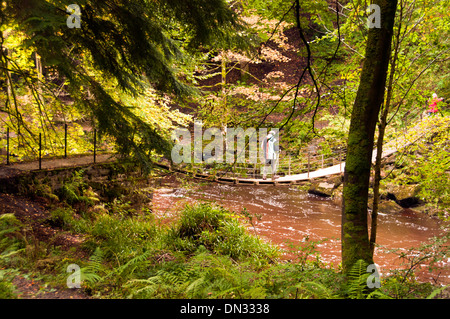 Eine Fußgängerbrücke über den Fluß Allen in Northumberland Stockfoto