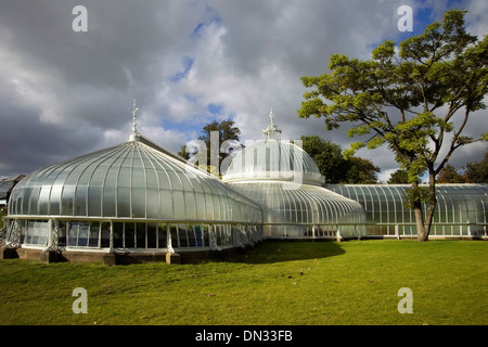 Viktorianischen Kibble Palace Glasgow Botanic Gardens Stockfoto