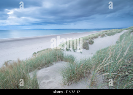 Sanddünen über Harlech Strand, Snowdonia-Nationalpark, Gwynedd, Wales. Herbst (September) 2013. Stockfoto