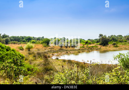 Cedar Island (Türkisch: Sedir Adası) alte Stadt von Kedriai, auch bekannt als Cleopatra-Insel im Golf von Gökova, Mugla, Türkei Stockfoto