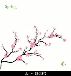 Frühling Kirschblüten Stock Vektor