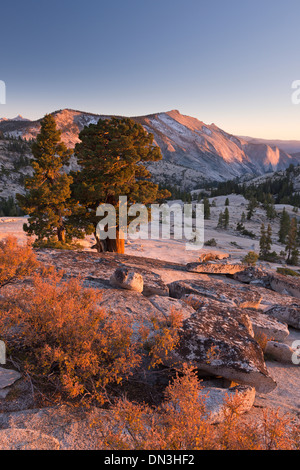 Wolken-Rest-Berg in der High Sierra, angesehen von oben Olmstead Punkt, Yosemite-Nationalpark, Kalifornien, USA. Stockfoto