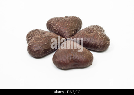 Vier in Herzform Lebkuchen Stockfoto