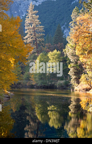 Herbstlaub spiegelt sich in den Merced River, Yosemite Valley, Kalifornien, USA. Herbst (Oktober) 2013.
