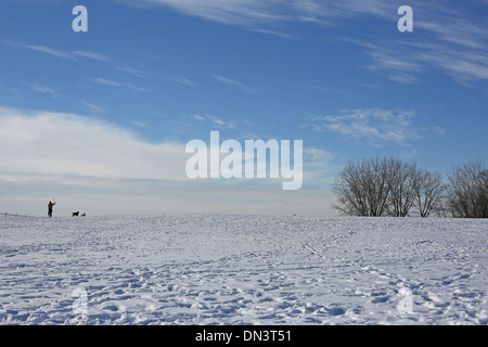Ein Mann wirft einen Ball auf zwei Hunde in einem schneebedeckten Feld in Minnesota. Stockfoto