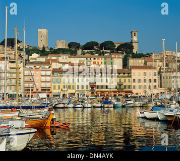 Blick auf den alten Hafen von Cannes, Alpes-Maritimes, Frankreich Stockfoto