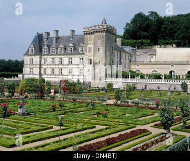 Schloss und Gärten, Villandry, Indre-et-Loire, Frankreich Stockfoto